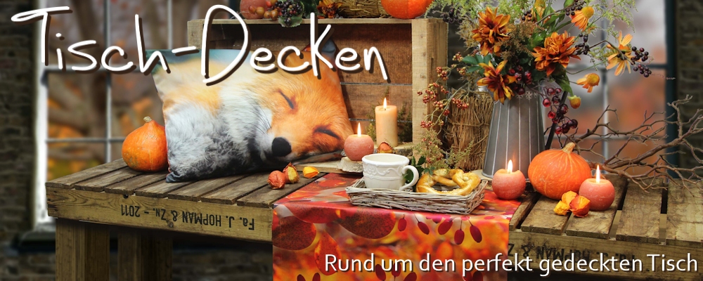 star-finder.de