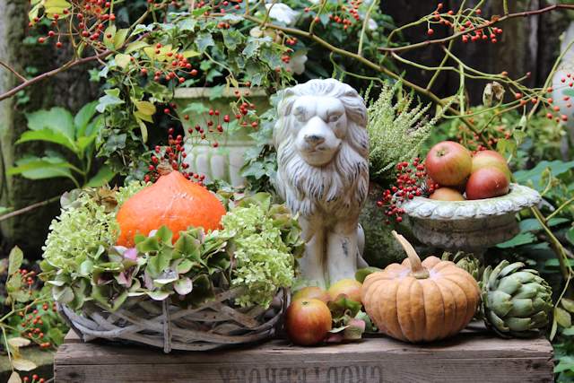 Herbstliche GArtendeko mit Löwe, Kürbis, Hortensien